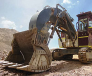 Face Shovel
